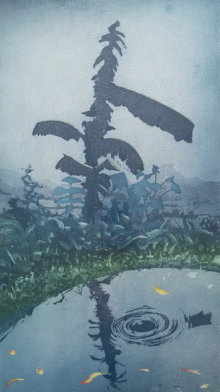 Sjoerd Bakker - Tropisch landschap, aquatint ets (ingelijst) kopen? Bied vanaf 1!
