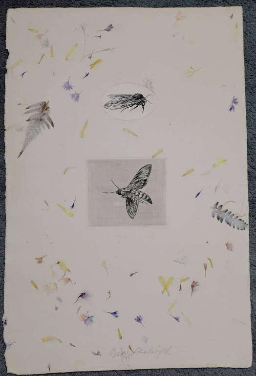 Dick Stolwijk, ets gesigneerd midden onder bladformaat 50.4 x 33.6 cm. de ets is kopen? Bied vanaf 75!