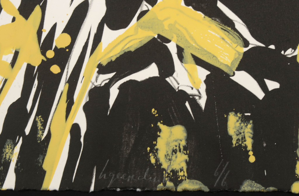 Herman Geerdink: Litho, Vogel kopen? Bied vanaf 20!