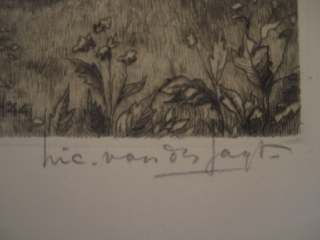 Karakteristieke ets "Geiten bij boerderij in de Achterhoek"van Nico vd Jagt 1888 kopen? Bied vanaf 1!