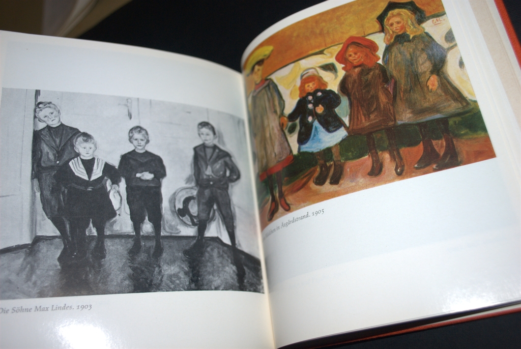EDVARD MUNCH--MONOGRAFIE--260 PAG!|>>LAATSTE VEILING !! kopen? Bied vanaf 6!