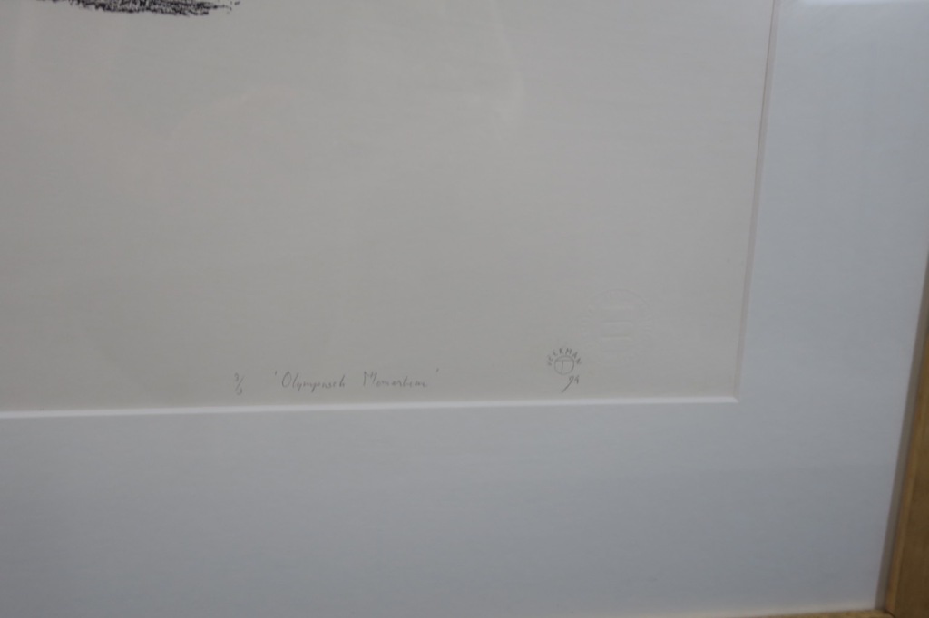 Tinca Veerman: Zeefdruk, Olympisch momentum - Ingelijst kopen? Bied vanaf 1!