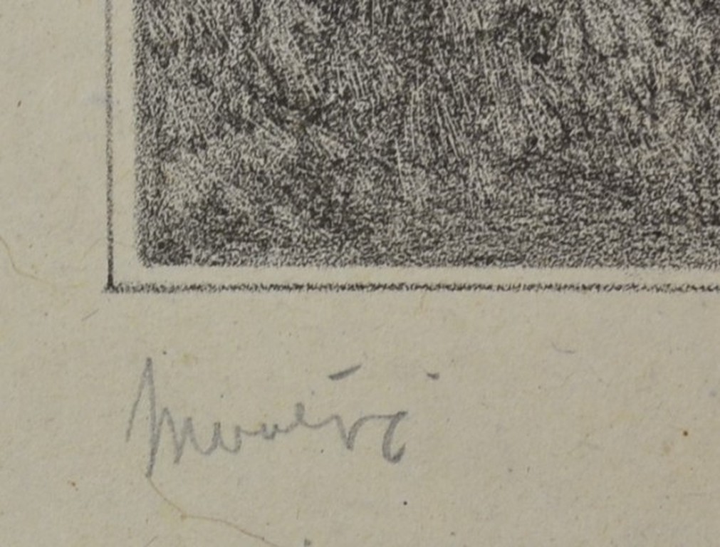 Simon Moulijn, litho, villa met theehuis in tuin kopen? Bied vanaf 50!