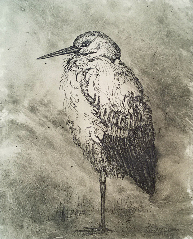Eugene Peters - Ooievaar, ets verkocht voor € 40!