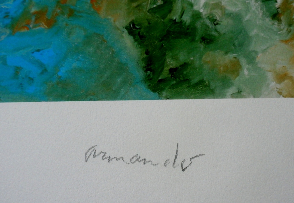 Armando - giclee: der Fluss - 2015 kopen? Bied vanaf 175!