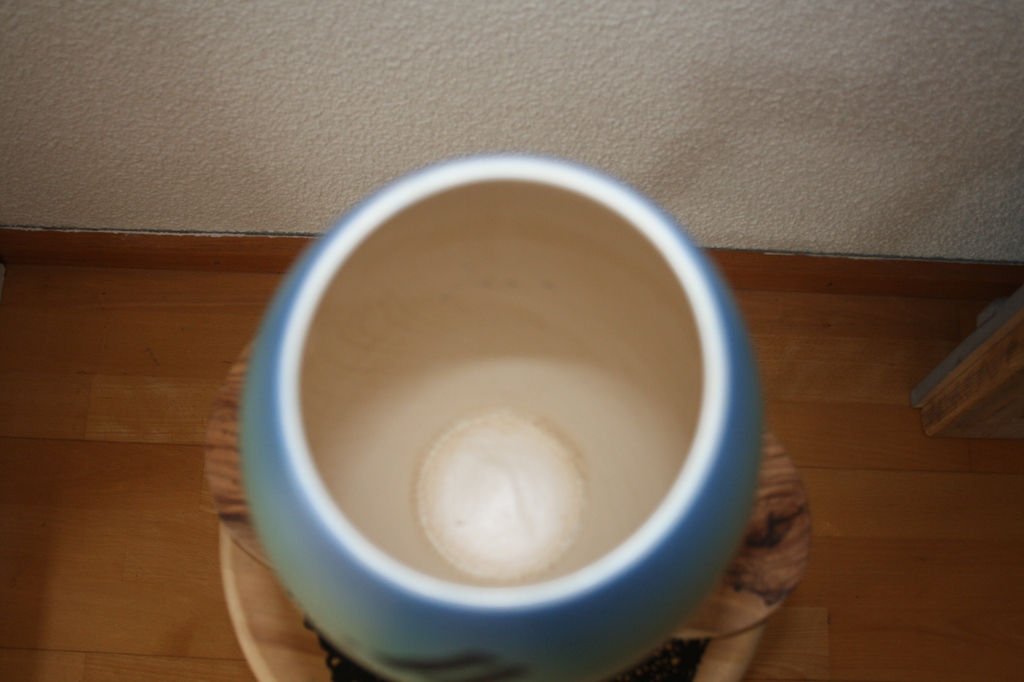 Judith Rigter, Vaas kopen? Bied vanaf 10!