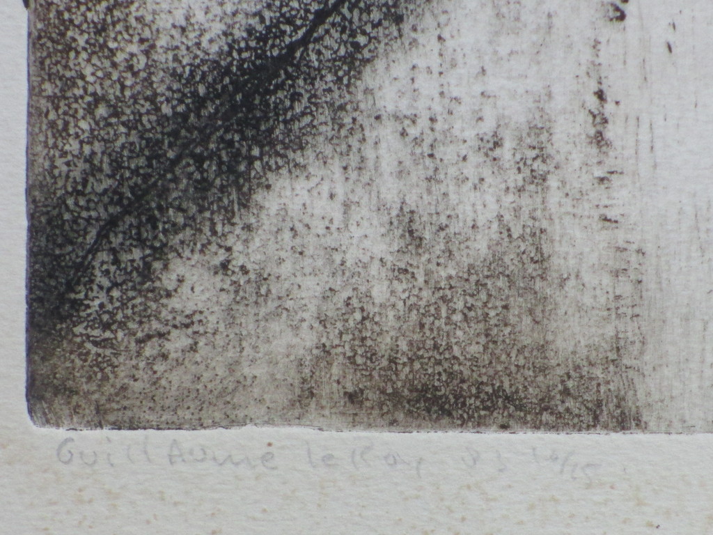 Guillaume le Roy, Abstracte woonvormen, Ets kopen? Bied vanaf 40!