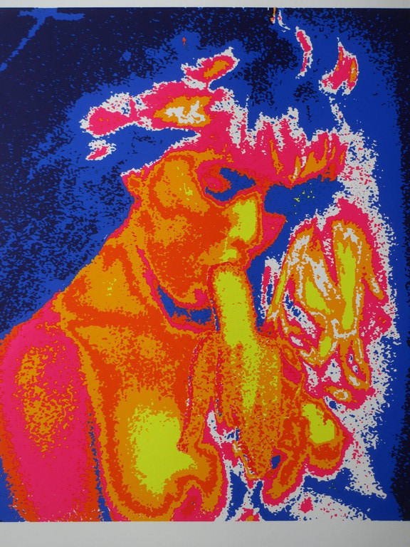 Henk van der Vet - Henk van der Vet, Bananenbar, Zeefdruk kopen? Bied vanaf 1!