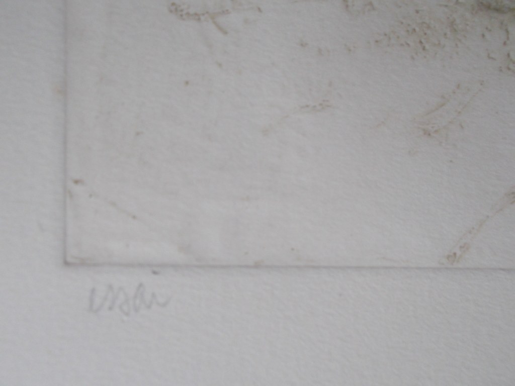 Zonder titel, lithografie, handgesigneerd rechts , afmeting 50 x 66,  kopen? Bied vanaf 80!