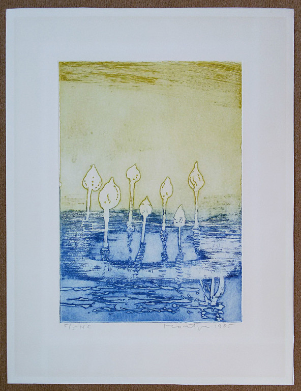 Jan Montyn - Tempelbloemen aan de Mekong, aquatint ets kopen? Bied vanaf 100!