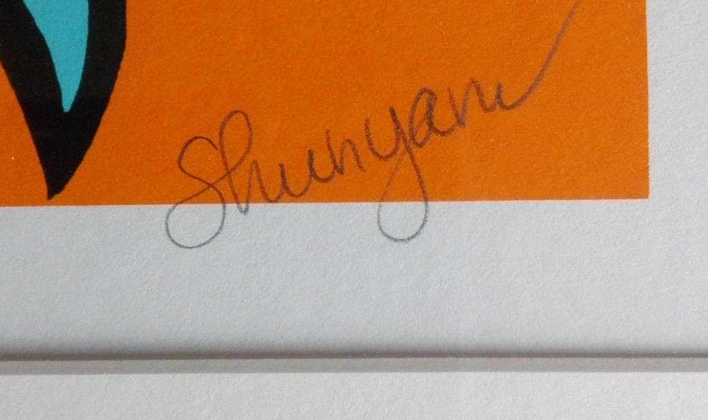 Shunyam - Zonder titel - Gesigneerde & Ingelijste Zeefdruk - Oplage 10 kopen? Bied vanaf 35!