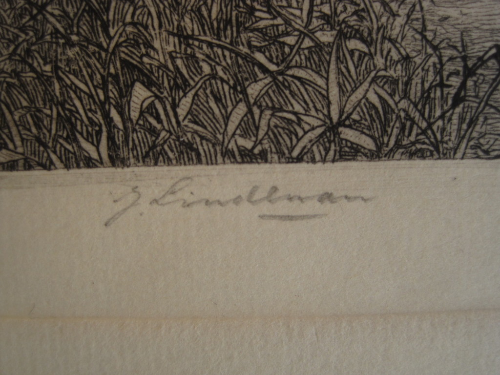 Magnifieke ca 1920 droge naald Ets "landschap bij Rhoon" gesigneerd JW Lindeman kopen? Bied vanaf 1!