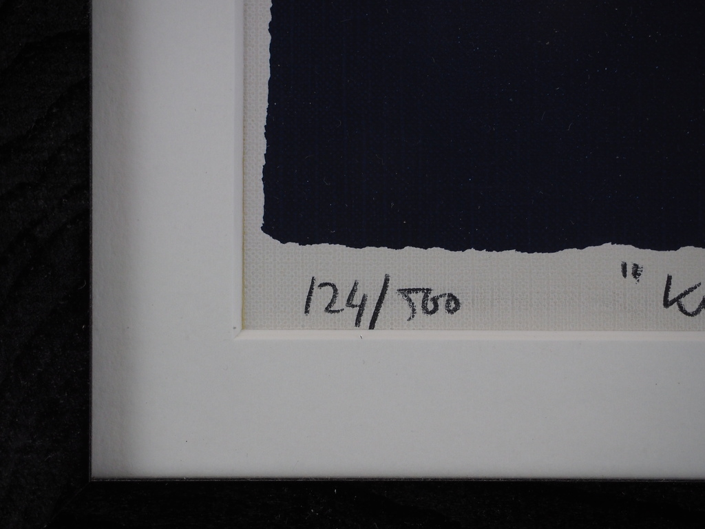 Hans Innemee: Zeefdruk, Kwaak, Kwaak..... kopen? Bied vanaf 50!