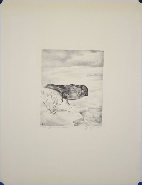 Aart van Dobbenburgh: Litho. Gestorven musje kopen? Bied vanaf 1!