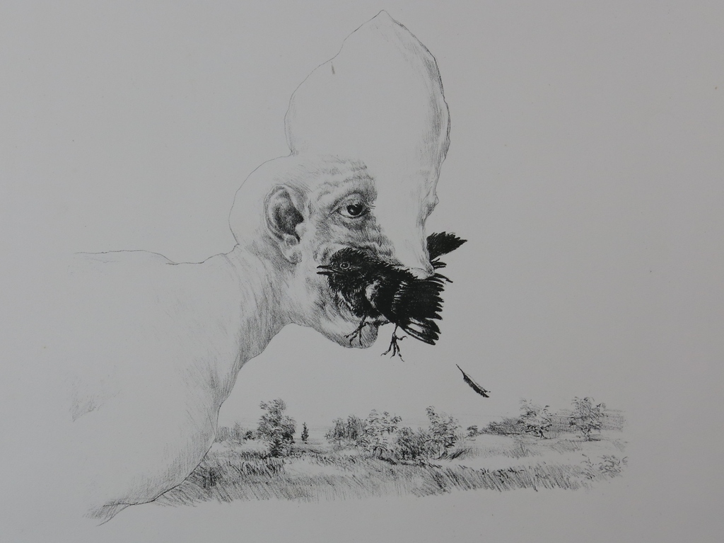 Peter Vos: Litho, Schiereiland Melancholie verkocht voor € 60!