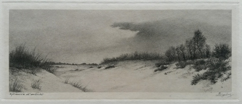 Dick Harting - duinlandschap - ets verkocht voor € 50!