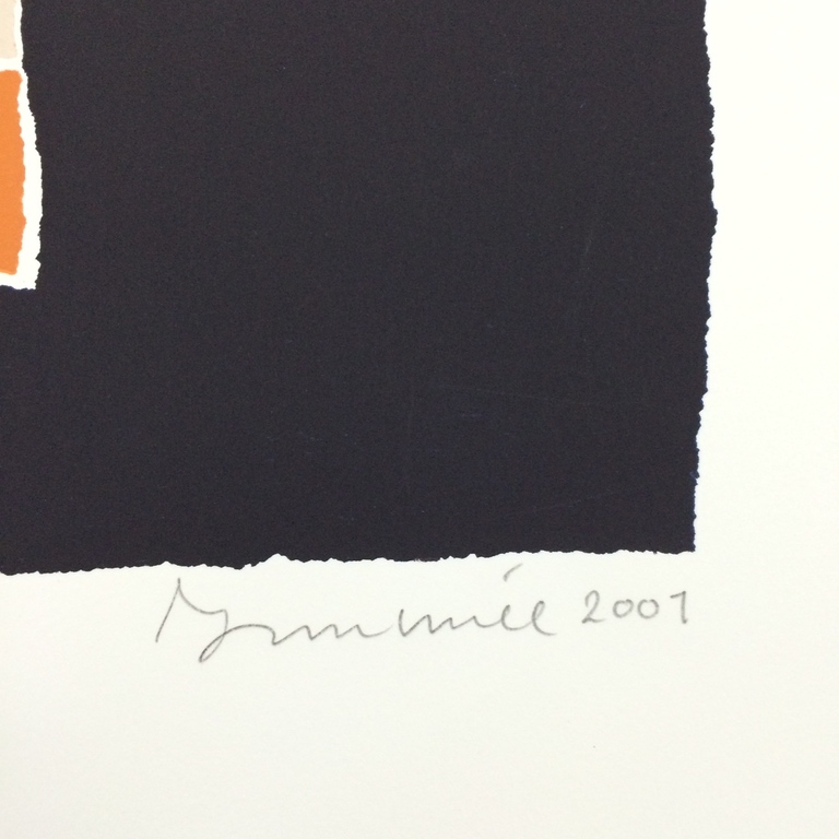 Hans innemee: zeefdruk  kopen? Bied vanaf 40!