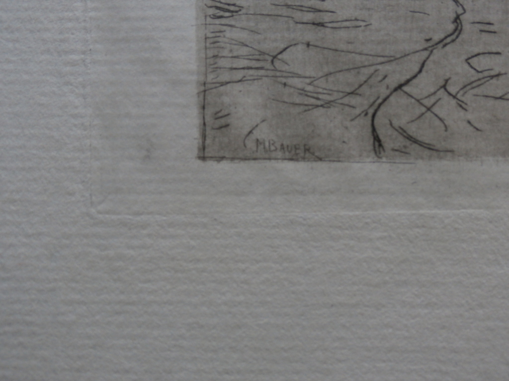 Marius Bauer - ets - gesigneerd kopen? Bied vanaf 75!