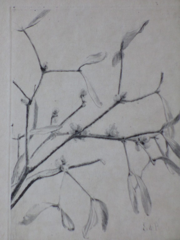 Edith Pijpers, Wilgentakjes, Ets kopen? Bied vanaf 25!