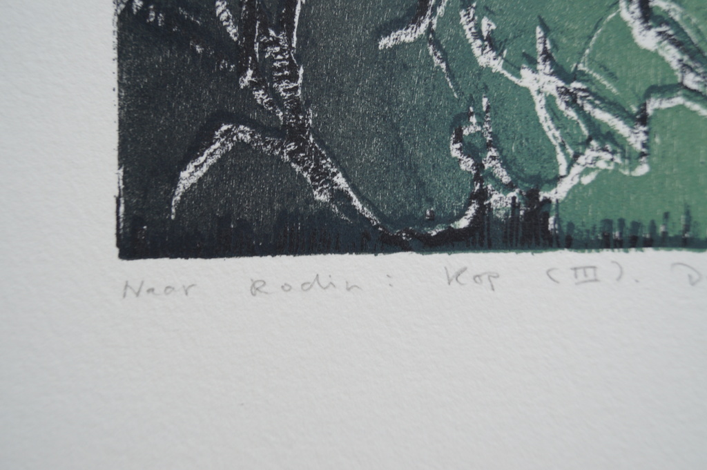 Daniel Tavenier - gesigneerde zeefdruk - Naar Rodin: Kop (III) kopen? Bied vanaf 1!