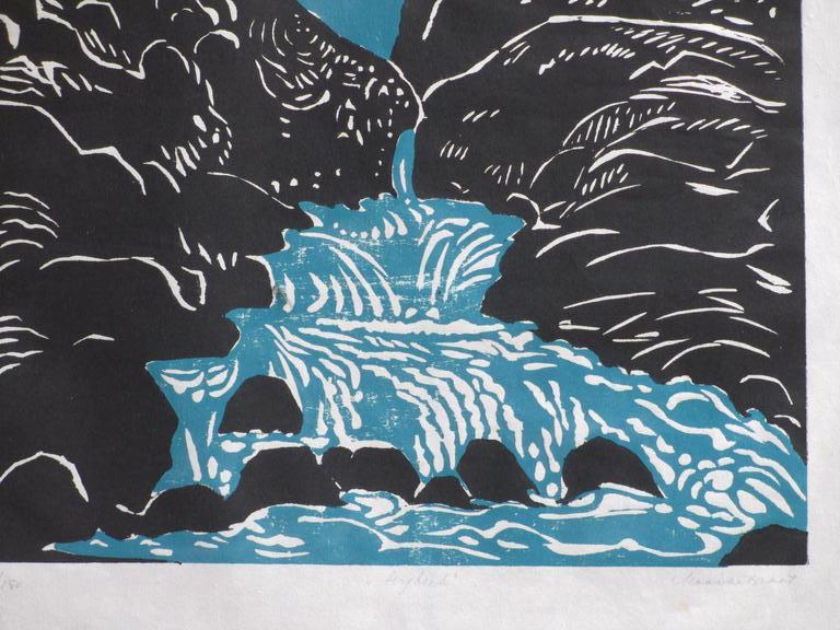 Maaike Braat, Bergbeek, Kleurenlino kopen? Bied vanaf 1!