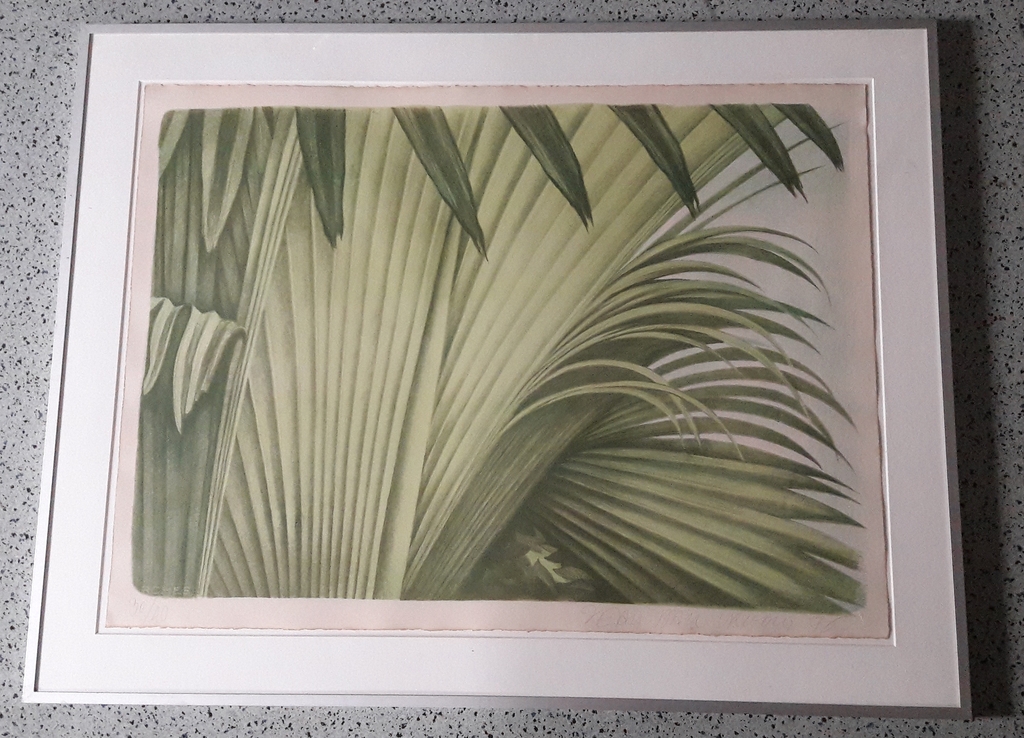 JP de Vroom ., kleur litho , Palm IiI kopen? Bied vanaf 65!