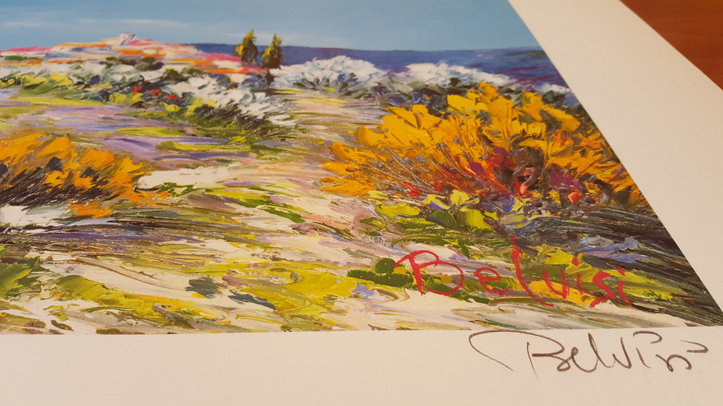 Village sur la Collin - Grote Lithografie - gesigneerd en genummerd - oplage 390 kopen? Bied vanaf 5!