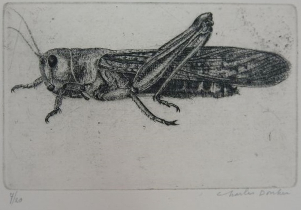 Charles Donker: Ets, Sprinhaan kopen? Bied vanaf 150!