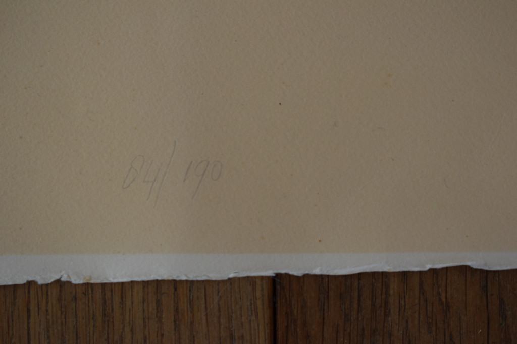 Dick Cassée : Litho – Zonder titel – Gesigneerd – 1966 – Prent 190 kopen? Bied vanaf 1!