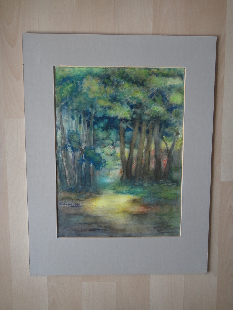 Paul van Eeden, aquarel, 'een stille tuin' kopen? Bied vanaf 75!