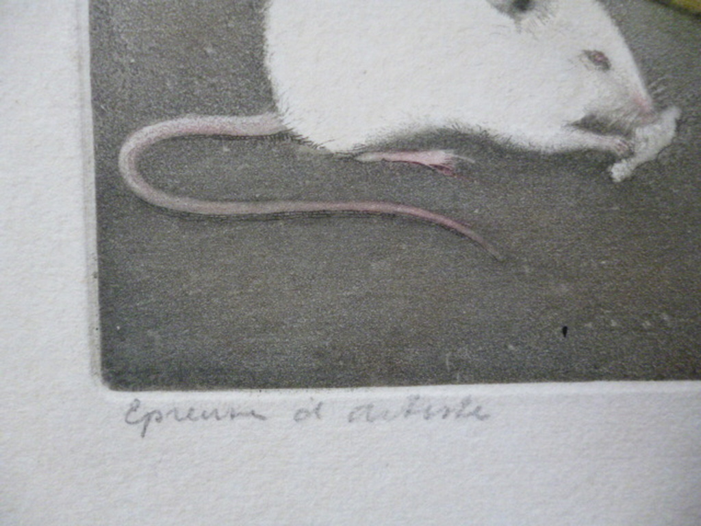 Frans Everbag - kleurenets - Vier witte muizen bij een kandelaar kopen? Bied vanaf 165!