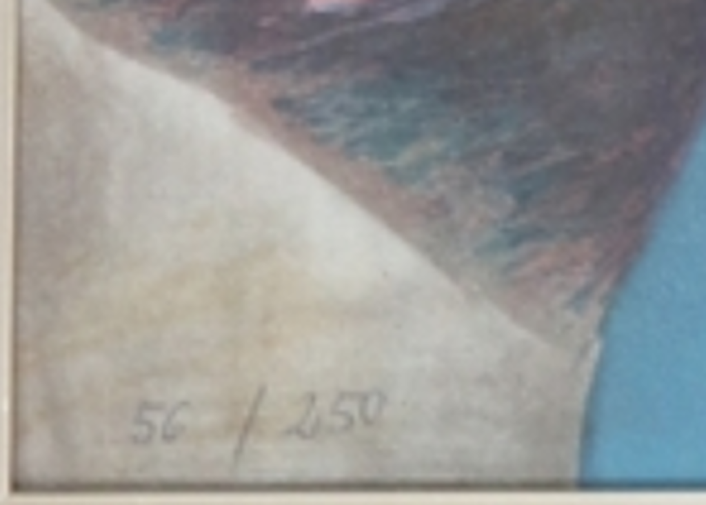 Jorg Reme: Lithografie kopen? Bied vanaf 50!