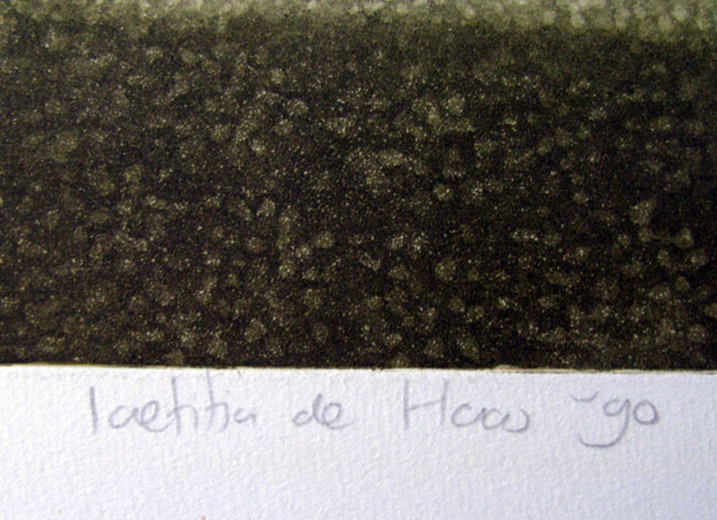 Laetitia de Haas - SUSSEX - kleurets kopen? Bied vanaf 1!