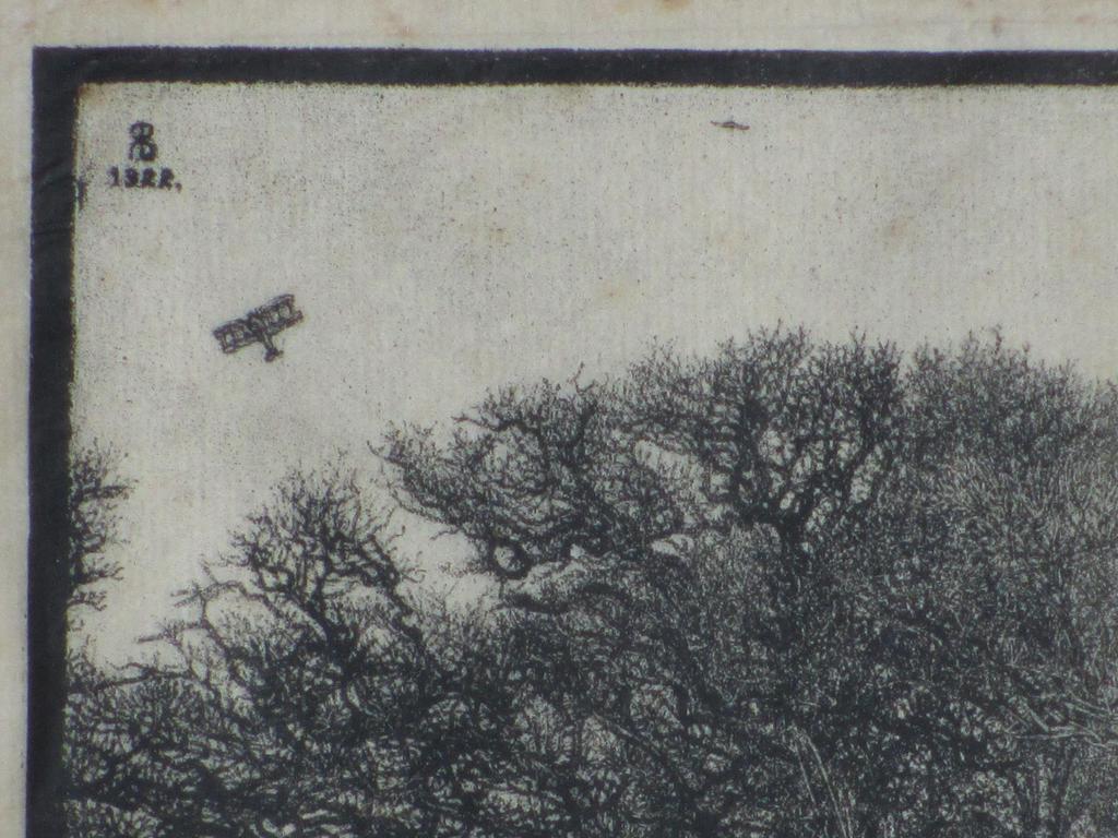 Rudolf Bremmer, Bosgezicht met vogels en vliegtuig, Houtsnede 1922 kopen? Bied vanaf 45!