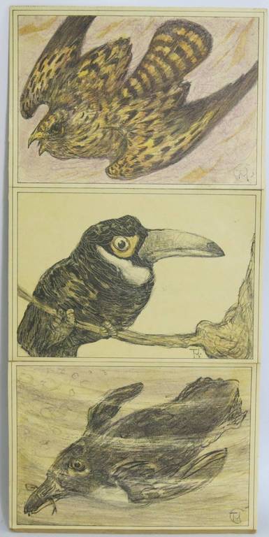 Theo van Hoytema: 3x Kleurenlitho, Dieren kopen? Bied vanaf 20!