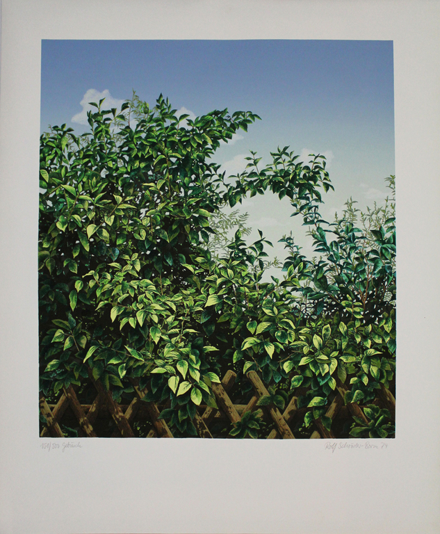 Rolf Schroeder-Borm - Gebüsch - handgesigneerde kleurlitho - opl. 500 ex. -1974 kopen? Bied vanaf 35!