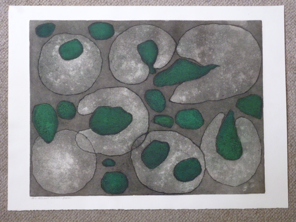 Harry van Kruiningen - kleurenets - Ontstaan van het leven verkocht voor € 75!