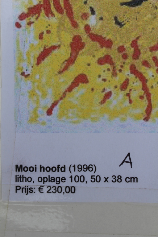 Jef Diederen (1920-2009)- gesigneerd litho - opl. 100 ex. -1996 -galerie Schoots kopen? Bied vanaf 30!