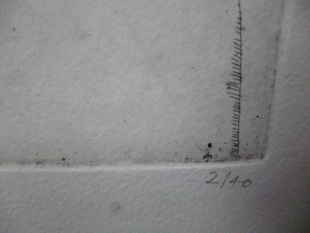 Herman Berserik - ets - Schoorstenen en beugelfles met rozen kopen? Bied vanaf 60!