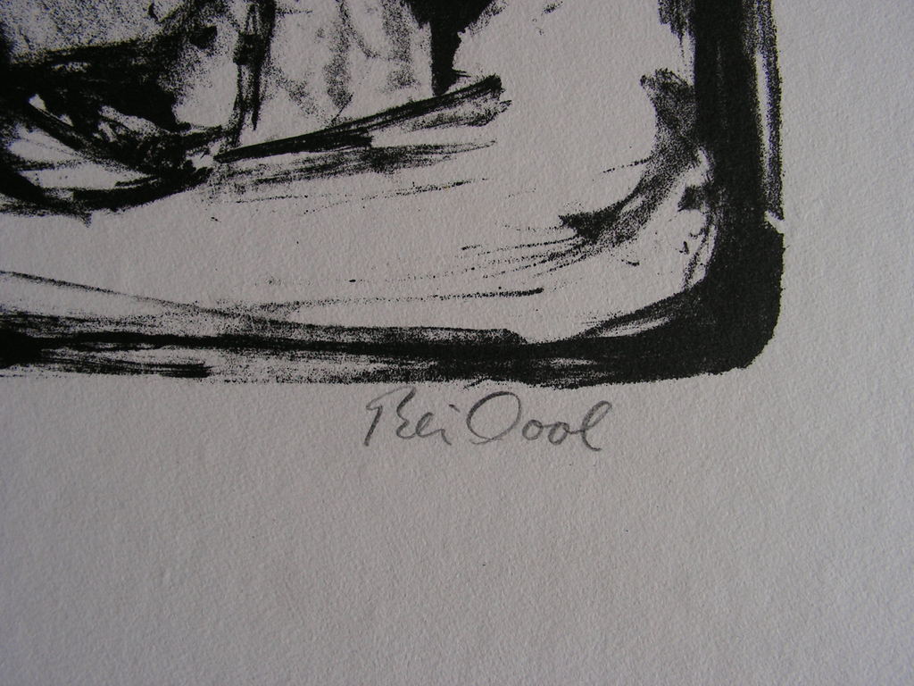 Rein Dool  -  ZT - Lithografie, gesigneerd en genummerd in potlood. Oplage 90. kopen? Bied vanaf 1!