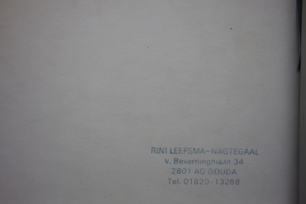 Leefsma-Nagtegaal, Rini (1915-1995) - aquarel - clowntje met vogels kopen? Bied vanaf 59!