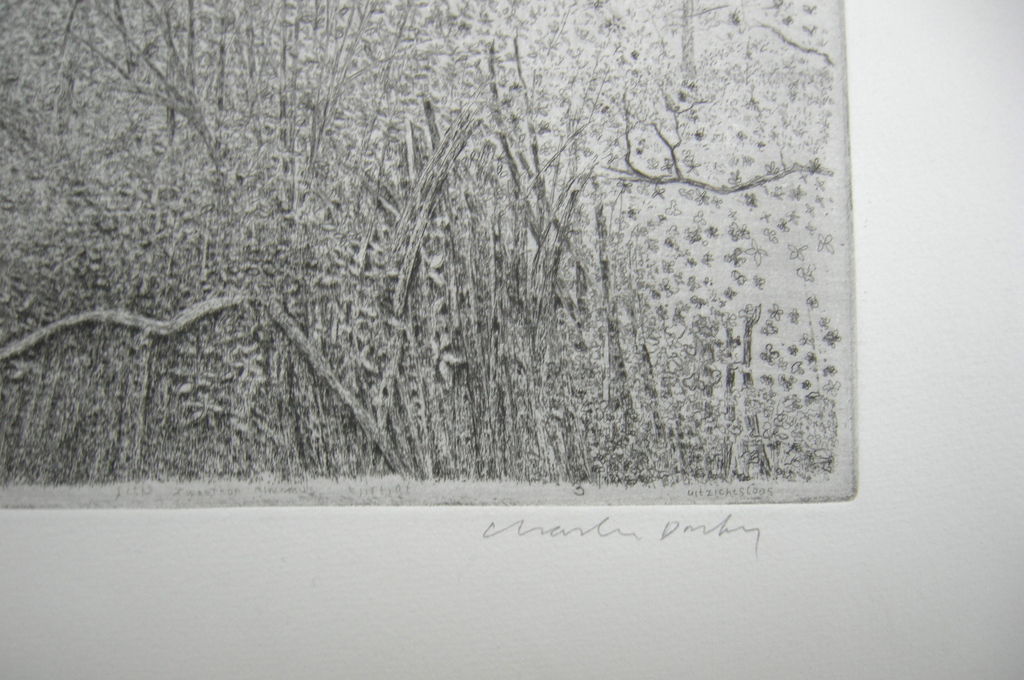 Charles Donker, ets, Rhijnauwen kopen? Bied vanaf 90!