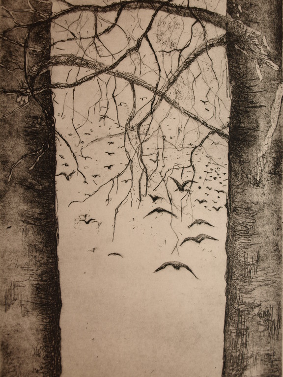 Aly van der Wal (1950)