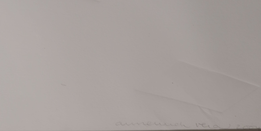 Annemiek Vera: Blinddruk, De Walkman - Ingelijst (Zeer groot) kopen? Bied vanaf 70!