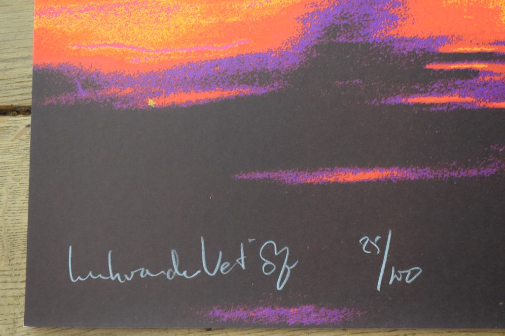 Henk van der Vet - Kleurenzeefdruk - Rood kopen? Bied vanaf 35!