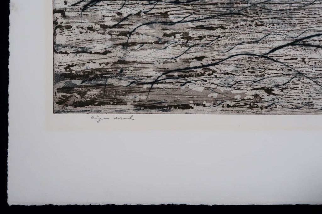 Diane Lekkerkerker: Ets, Zonder titel kopen? Bied vanaf 1!