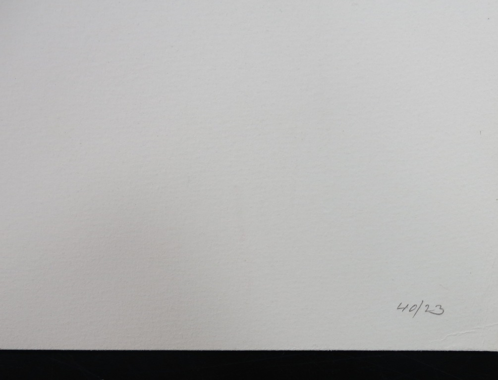 Paulien Wittenrood: Ets, Onder de takken door kopen? Bied vanaf 20!