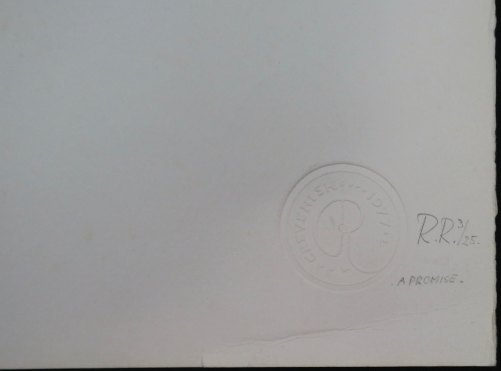 Ron Rooymans: Ets, A Promise kopen? Bied vanaf 1!