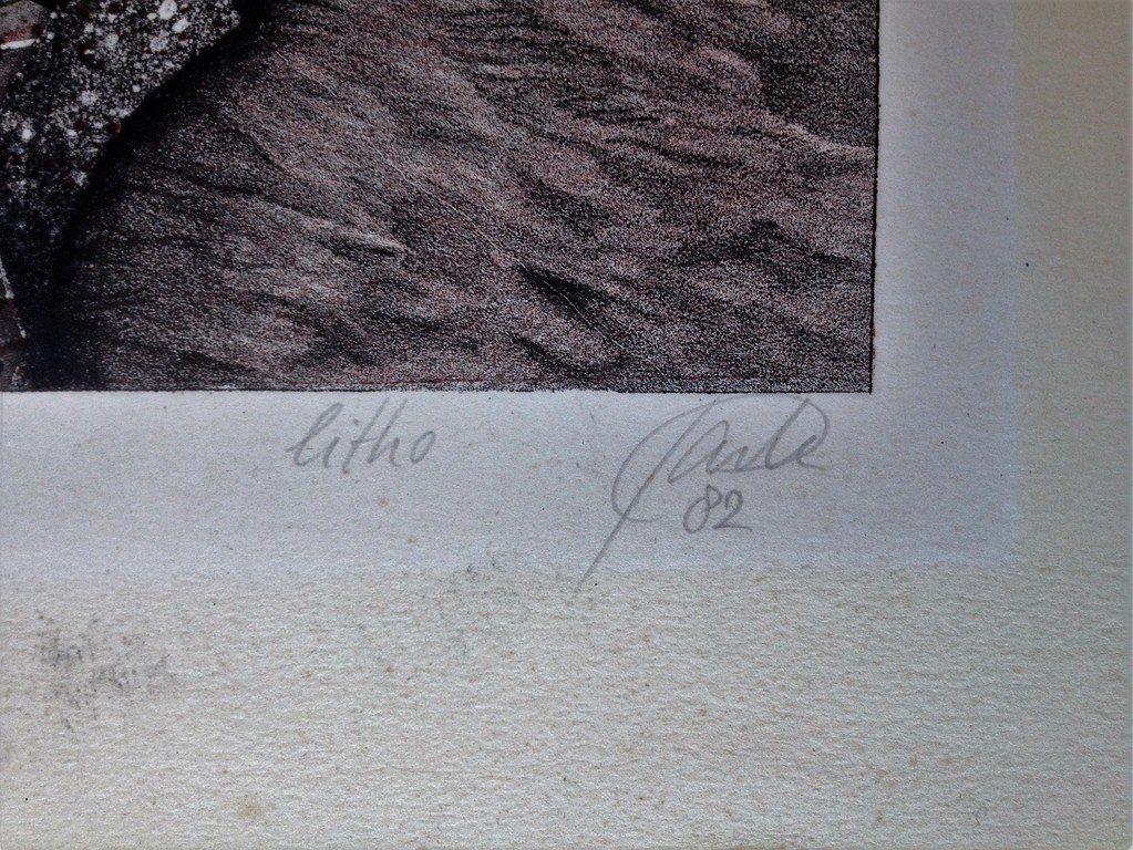 Onbekende Kunstenaar: Lithografie, Reciprook kopen? Bied vanaf 1!