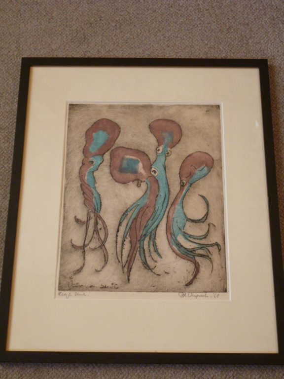 Octopussen kopen? Bied vanaf 50!